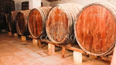 Reventa - Bodega -
Pinoso - CENTRO