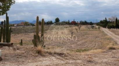 Resale - Casa -
Abanilla - EL SALADO