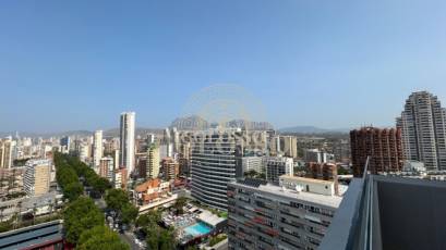 Resale - Piso -
Benidorm - Levante