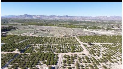 Resale - Plot / Land -
Benferri