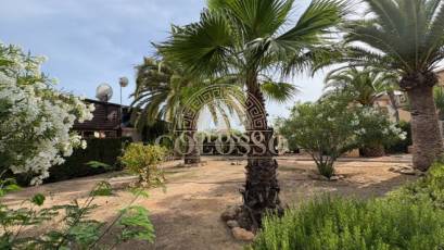 Rental - Apartment / flat -
Torrevieja - La Mata