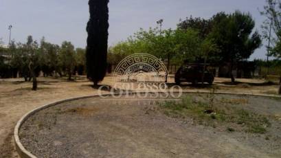 Reventa - Hacienda -
Elche