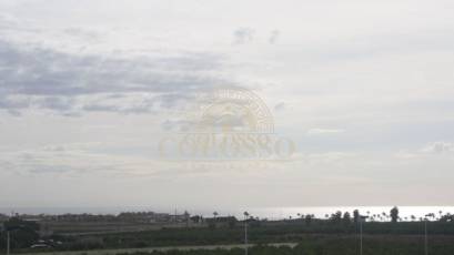 Obra nueva - terraced -
Torrevieja