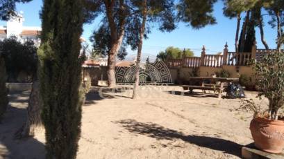 Alquiler - Villa -
San Miguel de Salinas