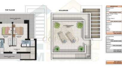 New Build - Villa -
San Miguel de Salinas - El galán