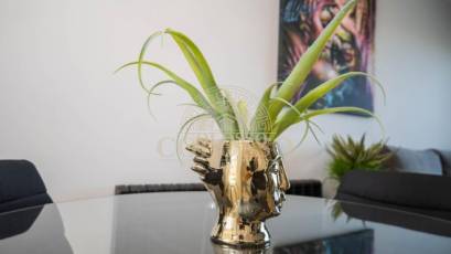 Resale - Loft -
Torrevieja - Los altos