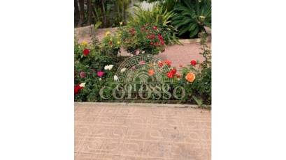 Resale - Villa -
Ciudad Quesada - Rojales