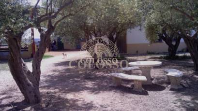 Reventa - Hacienda -
Elche