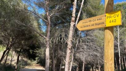 Location - Maison de ville -
Algorfa - Montemar