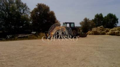 Reventa - Hacienda -
Elche