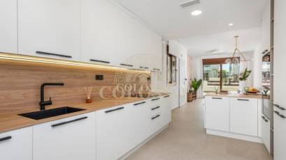 Obra nueva - high-bungalow -
Torrevieja