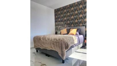 Nouvelle construction - detached -
Pilar de la Horadada