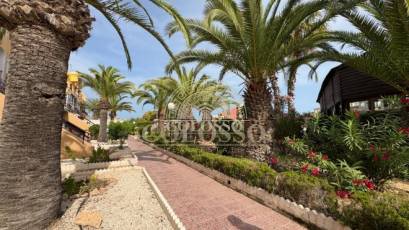 Rental - Apartment / flat -
Torrevieja - La Mata