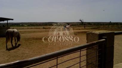 Reventa - Hacienda -
Elche