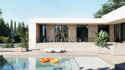 Obra nueva - detached -
El Chaparral