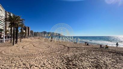 Resale - Negocio -
Benidorm - Levante