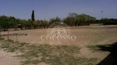 Reventa - Hacienda -
Elche