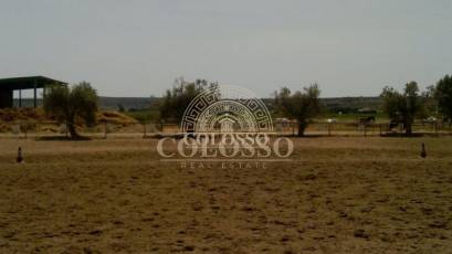 Reventa - Hacienda -
Elche