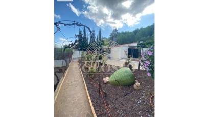 Resale - Casa con terreno -
Algimia de Alfara - Algimia de alfara