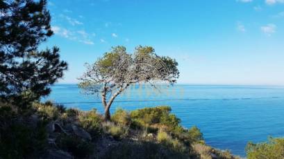 New Build - Planta baja -
Villajoyosa - Playas Del Torres
