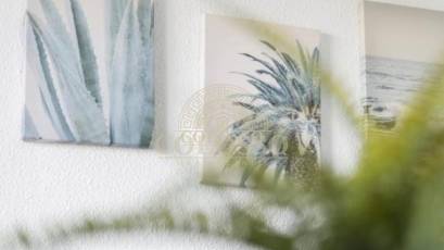 Rental - Apartment / flat -
Torrevieja