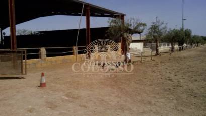 Reventa - Hacienda -
Elche