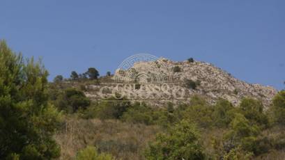 Resale - Finca rústica -
Finestrat - Finestrat pueblo