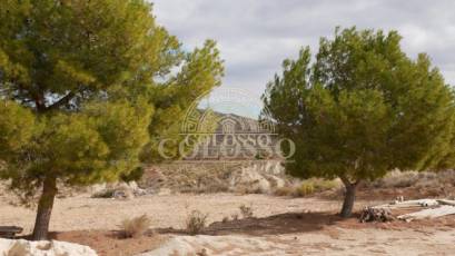 Resale - Casa -
Abanilla - EL SALADO
