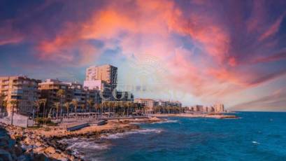 Obra nueva - high-bungalow -
Torrevieja