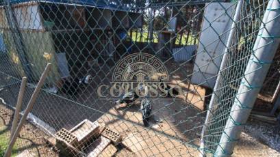 Resale - Chalet -
Orihuela Costa - Campoamor