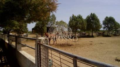 Reventa - Hacienda -
Elche