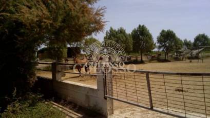 Reventa - Hacienda -
Elche