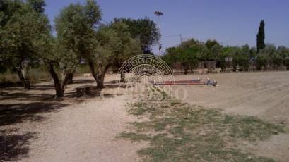 Reventa - Hacienda -
Elche