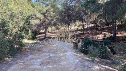 Location - Maison de ville -
Algorfa - Montemar