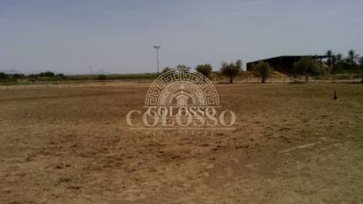 Reventa - Hacienda -
Elche