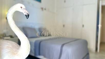Reventa - Apartamento -
Torrevieja - Playa del Cura