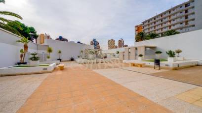 Alquiler - Apartamento -
Benidorm - Rincon de Loix Cruz