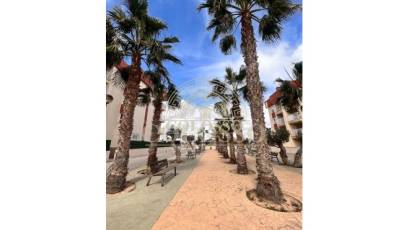 Nouvelle construction - apartment -
Orihuela Costa