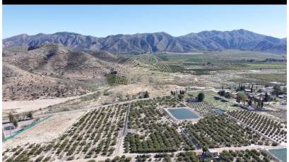 Resale - Plot / Land -
Benferri