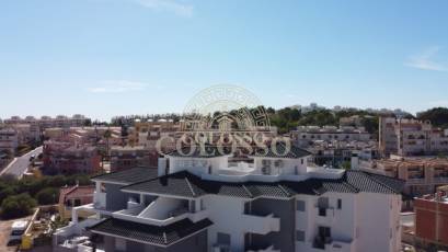 Obra nueva - ground-floor -
Orihuela