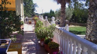 Reventa - Hacienda -
Elche