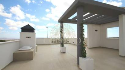 Obra nueva - Villa -
San Miguel de Salinas