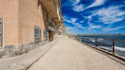 Reventa - Planta baja -
Torrevieja - El Acequión - Los Náufragos