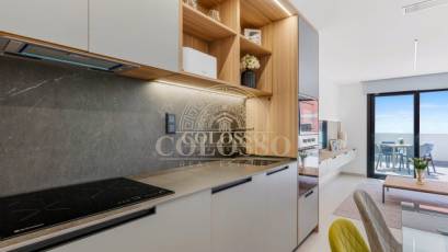 Nouvelle construction - apartment -
Guardamar del Segura