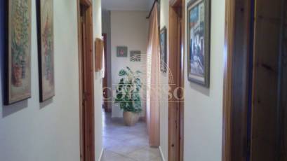 Reventa - Hacienda -
Elche