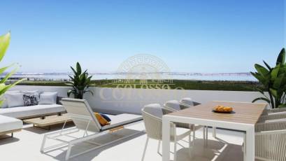 Obra nueva - Ático -
Torrevieja