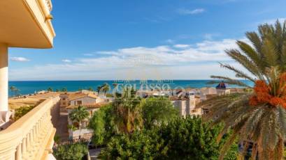 Alquiler - Apartamento / piso -
Guardamar del Segura - Guardamar Playa