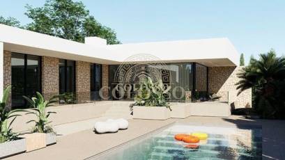 Obra nueva - detached -
El Chaparral