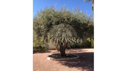 Resale - Villa -
Ciudad Quesada - Rojales