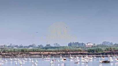 Resale - Chalet -
La marina - El Pinet Playa